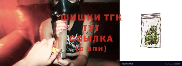 индика Киренск