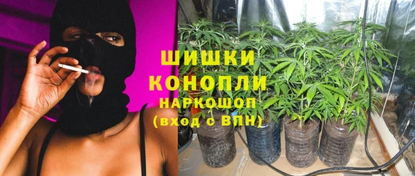 индика Киренск