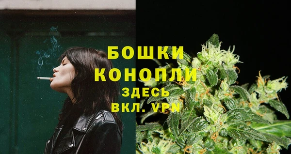 индика Киренск