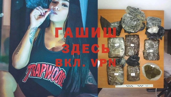 индика Киренск