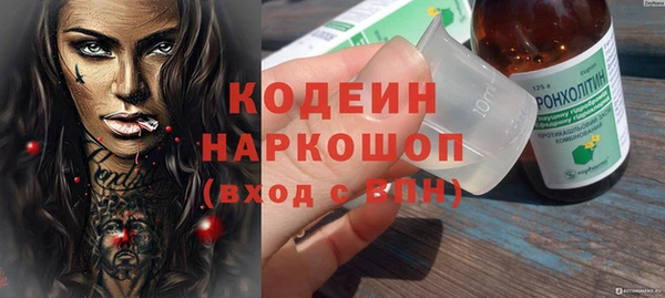 индика Киренск