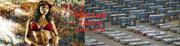 спиды Кинешма