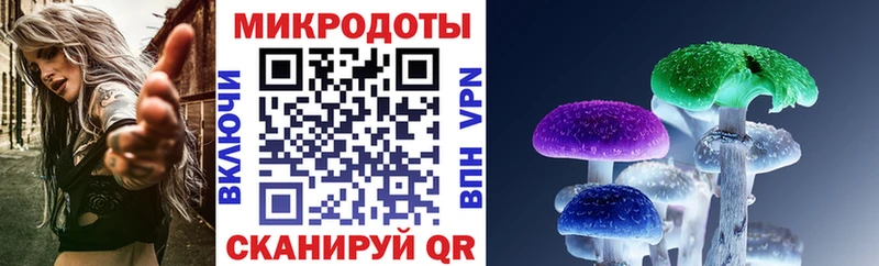 закладки  Дербент  Галлюциногенные грибы Cubensis 