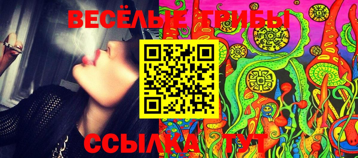 Галлюциногенные грибы Cubensis  Вход с VPN  Псилоцибиновые грибы прущие грибы  Дербент 