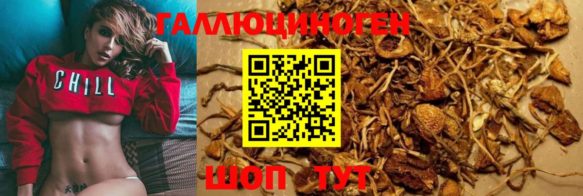 Галлюциногенные грибы мухоморы Дербент